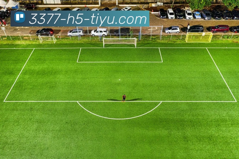 3377体育服务体系