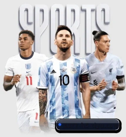 3377体育 APP | 3377Sports